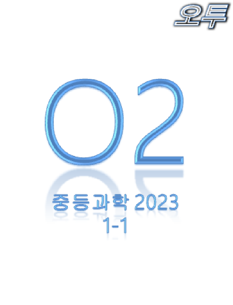 사용자 지정 1