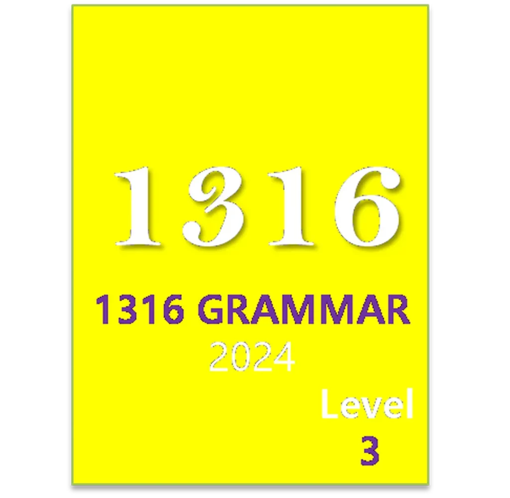 2024 1316 GRAMMAR Level3