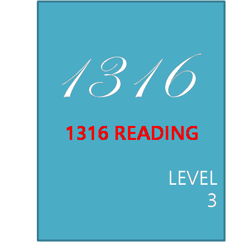 1316 READING Level 3