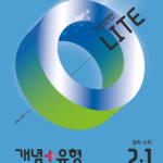 개념플러스유형 라이트 중2-1