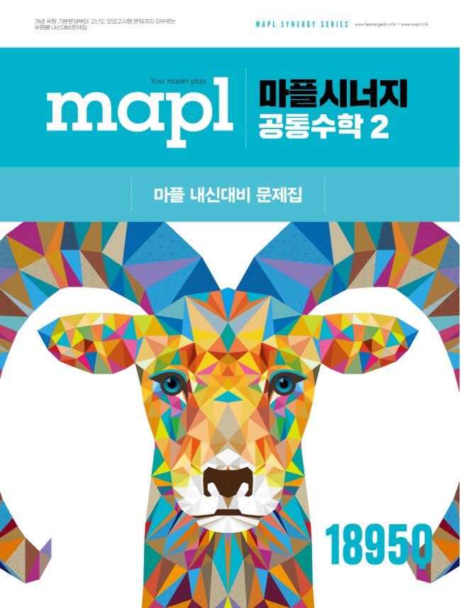 마플시너지 공통수학2 답지PDF 및 해설-2025 마플시너지 공통수학2