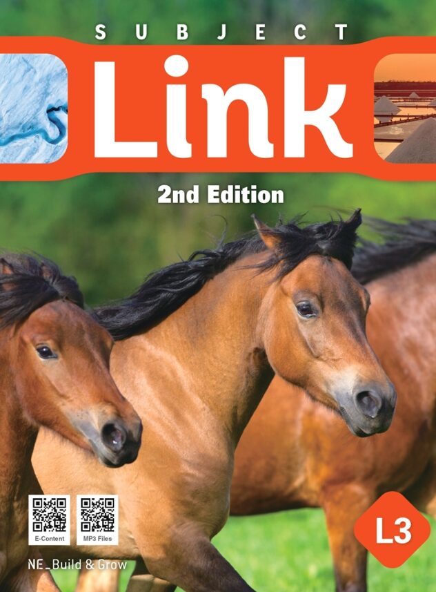 Subject Link 2nd Edition L3